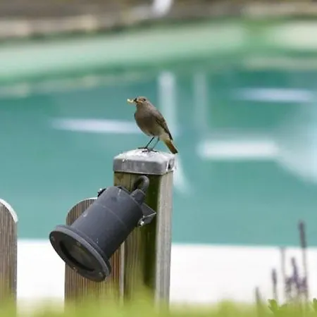 מלון Des Bories - Grand Perigueux 3*